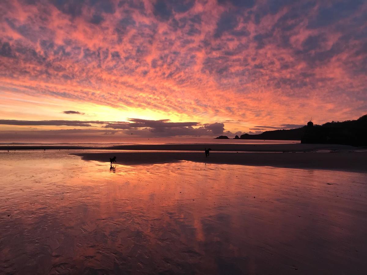 Wogan Cottage Saundersfoot Ngoại thất bức ảnh